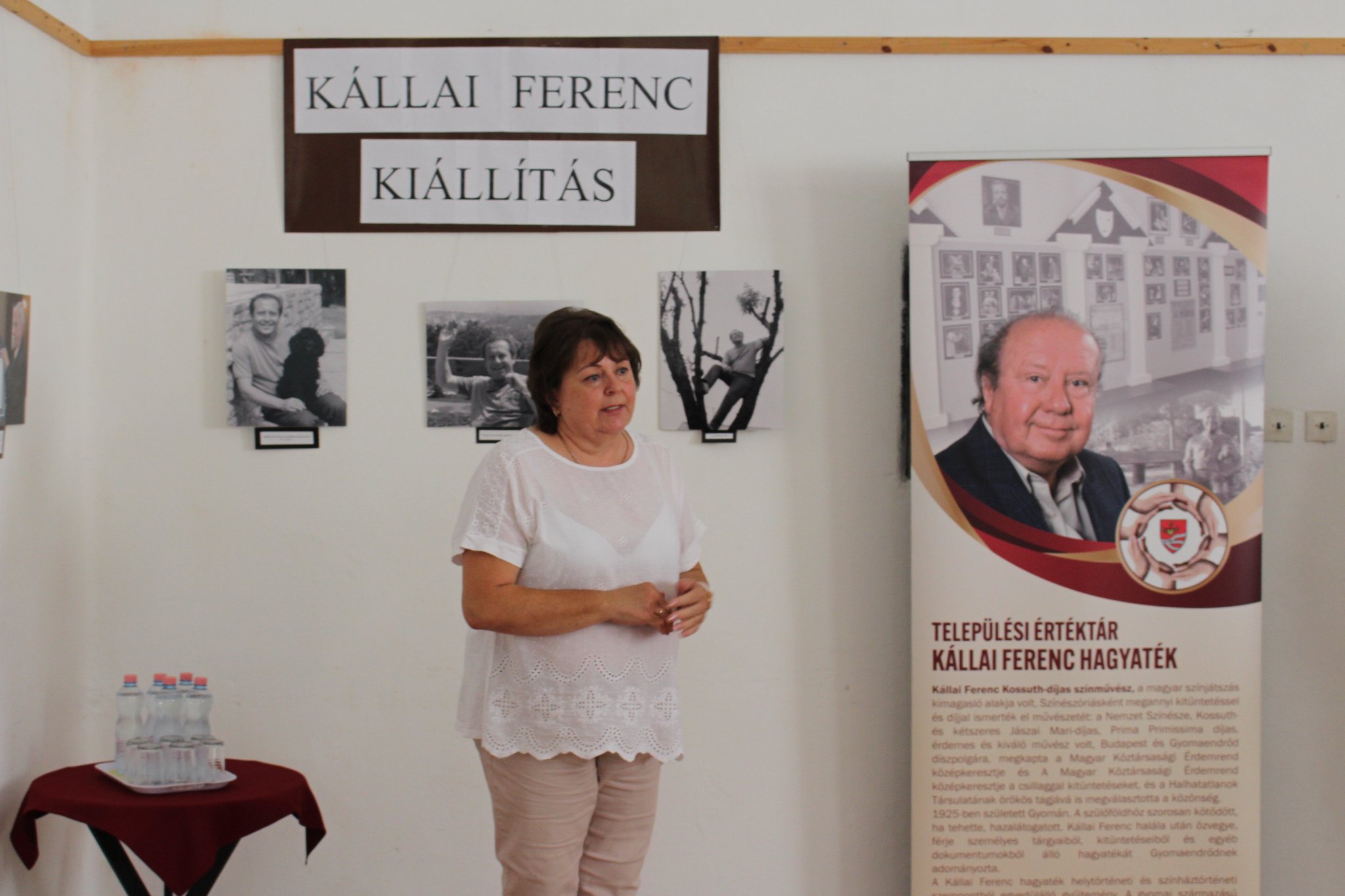 Kulturális Fesztiválok Kollégiuma - Kállai Napok 2021 című fesztivál megrendezése