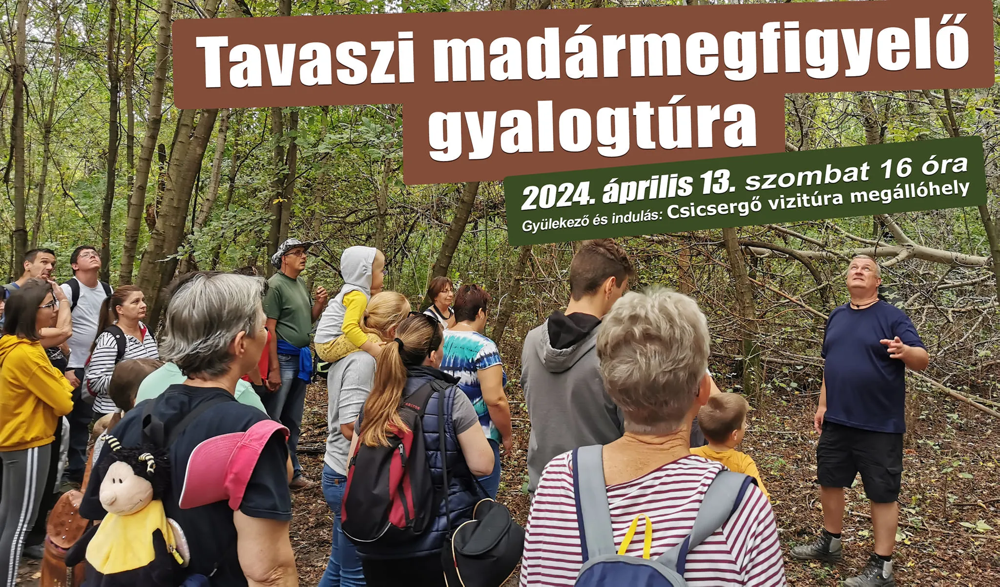Tavaszi madármegfigyelő gyalogtúra